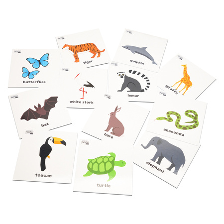 Karty pracy ZWIERZĘTA po angielsku 10 x 10 cm 78 sztuk