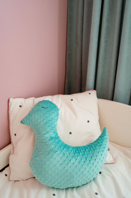 Dream Pillow poduszka PTASZEK plusz minky 45 x 45 cm 1 szt.